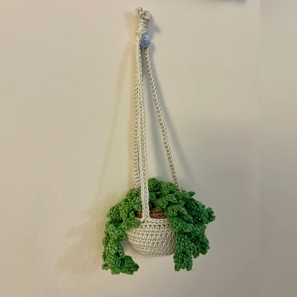 Handcrafted Crochet Hanging Plant Fern Decor Home Car Desk Accessory - Picture 2 of 8